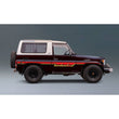 Decal Body Stripe Kit (California) - 73/74 Series (1984–1990)