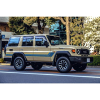 Decal Body Stripe Kit (Limited Edition Topographic Renmark) - 76 Series (2007-)